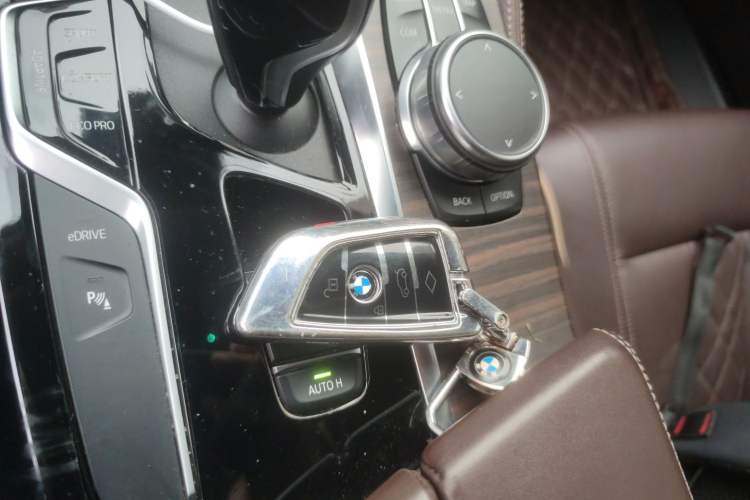 Used BMW 5 Series New Energy 2019 530Le Luxury Package
