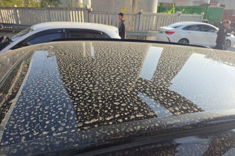 Used Wey VV5 2017 2.0T Ultra-Luxury Version
