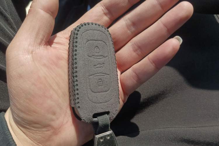 Used Geely Auto Emgrand New Energy 2018 EV450 Ambition Model Vehicle Key