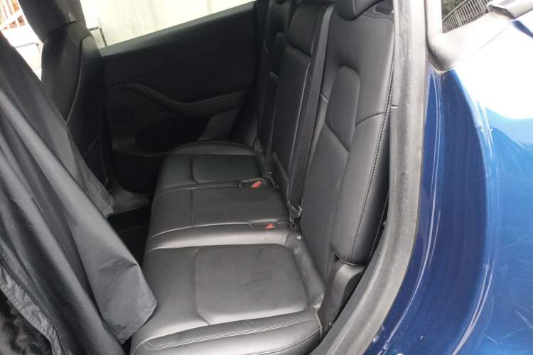 Used Tesla Model Y 2021 Long-Range All-Wheel-Drive Version 3D7