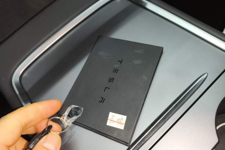 Used Tesla Model Y 2022 Revised Version Long-Range All-Wheel Drive