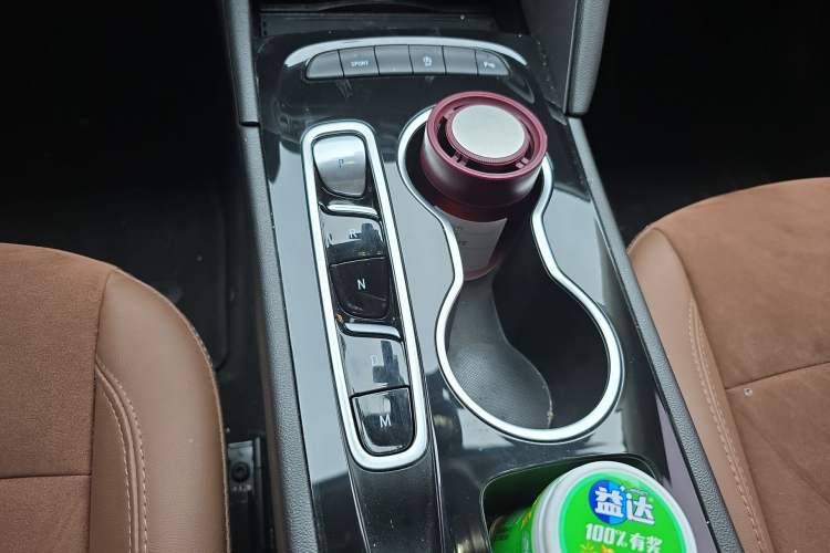 Used Buick Regal 2024 28T Luxury Edition