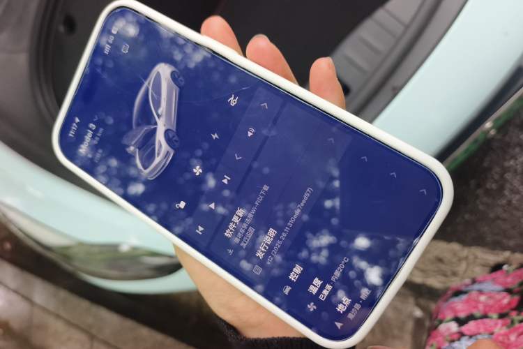 Used Tesla Model 3 2021 Standard Range Rear-Drive Upgraded Version Vehicle Key