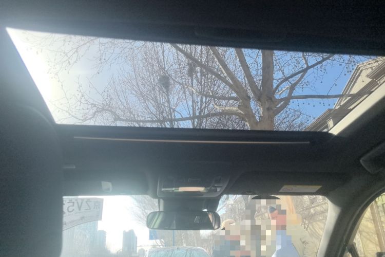 Used Lexus UX New Energy 2020 300e Pure·Joy Edition Headliner