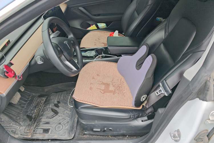 Used Tesla Model 3 2020 Standard Range Rear-Wheel Drive Upgraded Version
