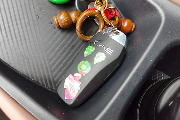 Used BYD Seagull 2024 Honor Edition 305km Dynamic Version Vehicle Key