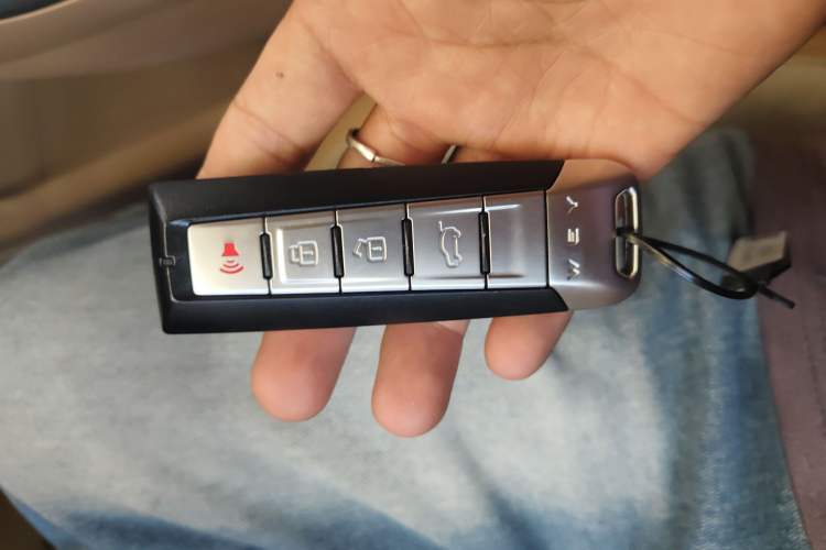 Used Wey Latte DHT-PHEV 2022 1.5T Four-Wheel Drive Extra-Large Version