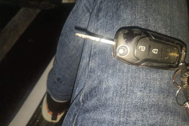 Used Ford EcoSport 2018 1.5L Automatic Platinum Wing Model Vehicle Key