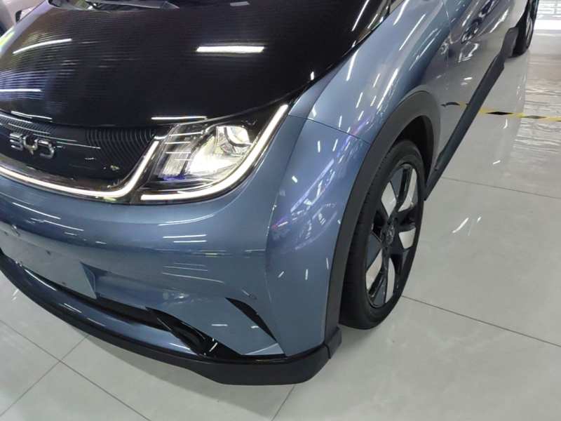 Used BYD Dolphin 2025 520km Range Knight Edition — 23