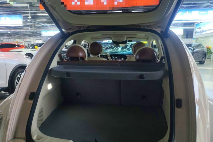 Used ORA Ballet Cat 2023 401 km Luxury Version