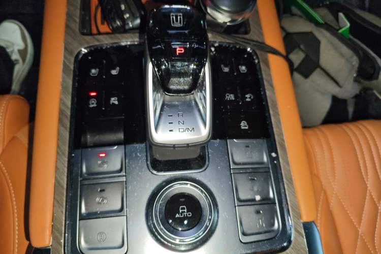 Used Tank 500 2022 3.0T Business Edition "Creation Realm" Design 5-Seater
