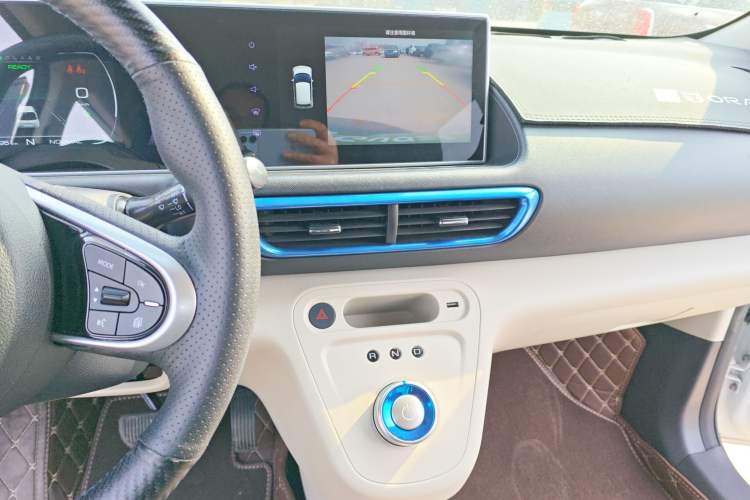 Used ORA White Cat 2020 401 km Flagship Version