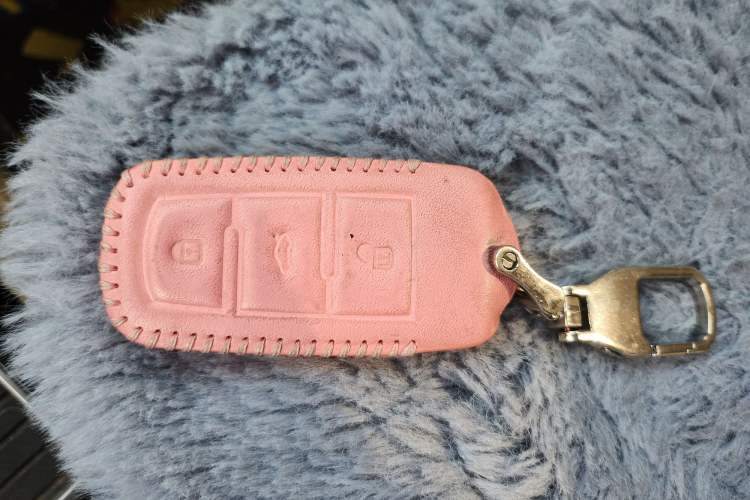 Used Know Beans D2 2017 D2S
