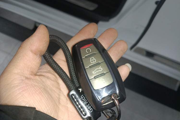 Used Haval H9 2020 2.0T Gasoline 4WD Premium Edition 5 Seats