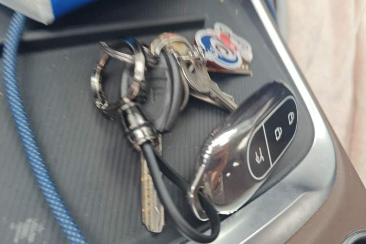 Used Leapmotor C11 2023 Range-Extended 200 Comfort Edition