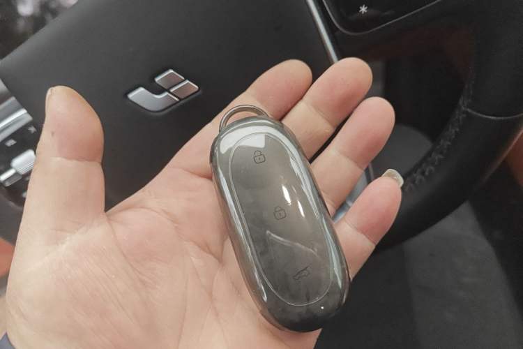 Used Li Auto L9 2022 Max model
