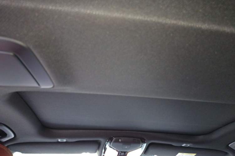 Used BMW 5 Series 2020 530Li Luxury Edition M Sport Package Headliner