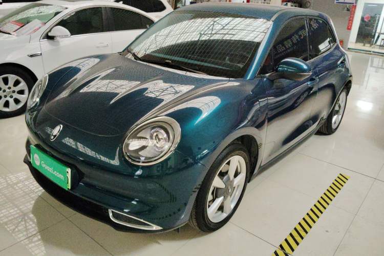 Used ORA Good Cat 2023 401 km Standard Range Luxury Version Lithium Iron Phosphate