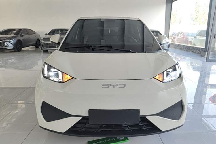 Used BYD Seagull 2025 Smart Drive Version 305 km Freedom Edition