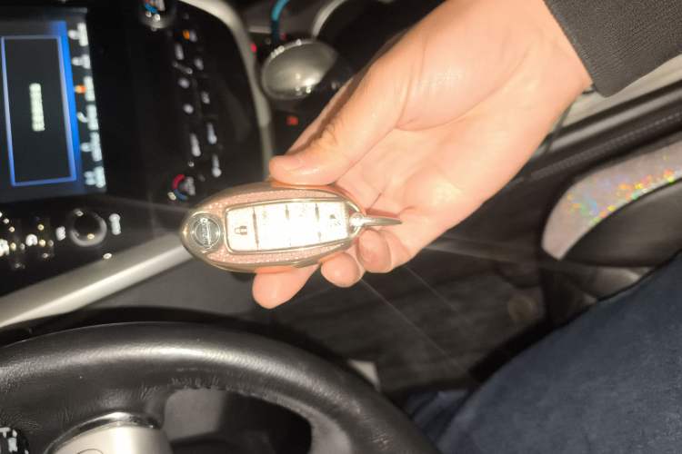 Used Nissan Murano 2017 2.5 S/C HEV XE Four-Wheel Drive Hybrid Luxury Edition
