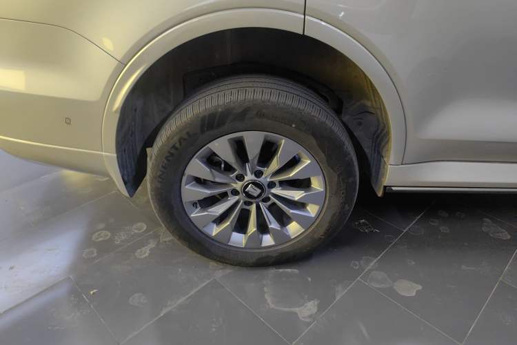 Used Tank 500 New Energy 2024 Hi4-T
