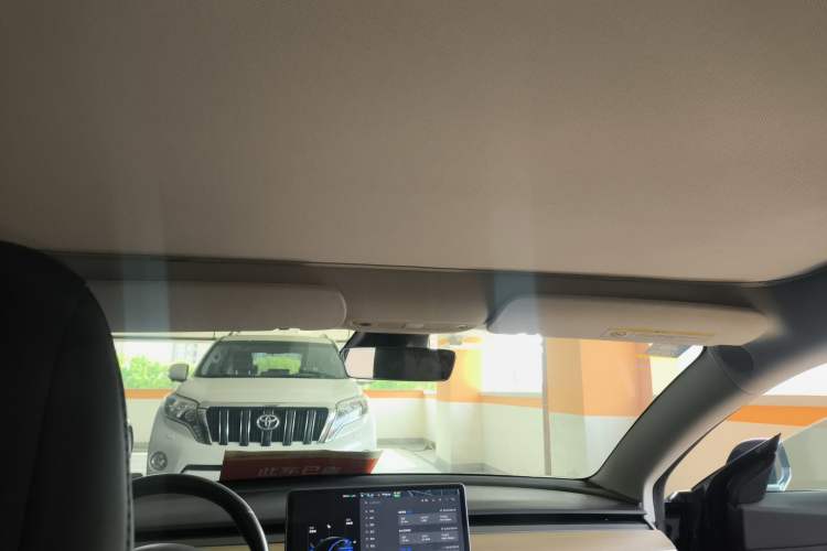 Used Tesla Model 3 2019 Long-Range Rear-Wheel-Drive Version Headliner