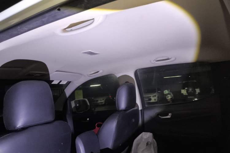 Used Isuzu JLM 2018 2.8T Classic Edition Two-Wheel Drive Progressive Version JE493ZLQ5F Headliner