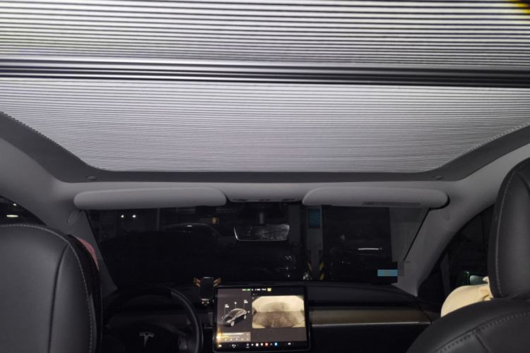 Used Tesla Model Y 2021 Standard Range Rear-Wheel Drive Version
