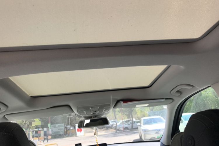 Used BAIC Off-Road BJ90 2021 3.0T Zhenrong Edition Headliner