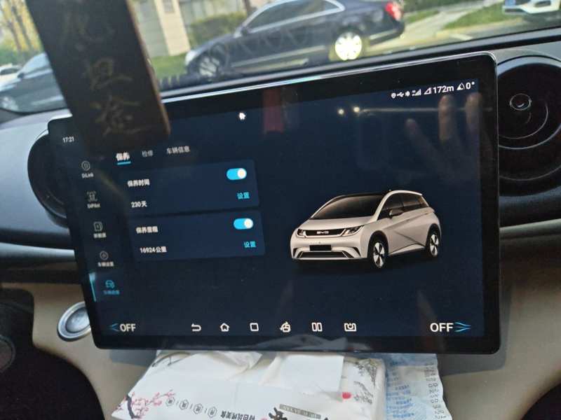 Used BYD Dolphin 2023 420 km Free Version — 21