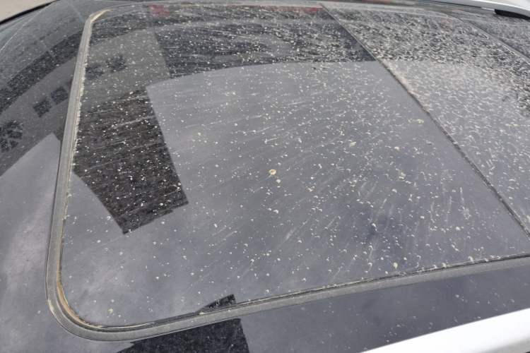 Used Volkswagen T-ROC 2023 300TSI DSG Two-Wheel Drive Starlight Edition
