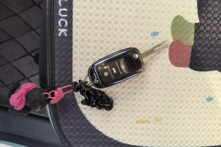 Used Qiyuan Lumin 2022 155 km – Refreshingly Sweet Edition