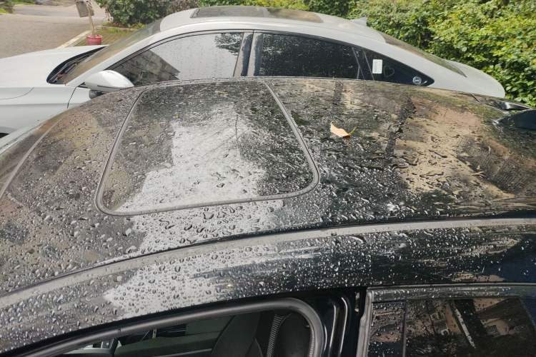 Used Honda Civic 2021 HATCHBACK 220TURBO CVT Trendy Cool Edition