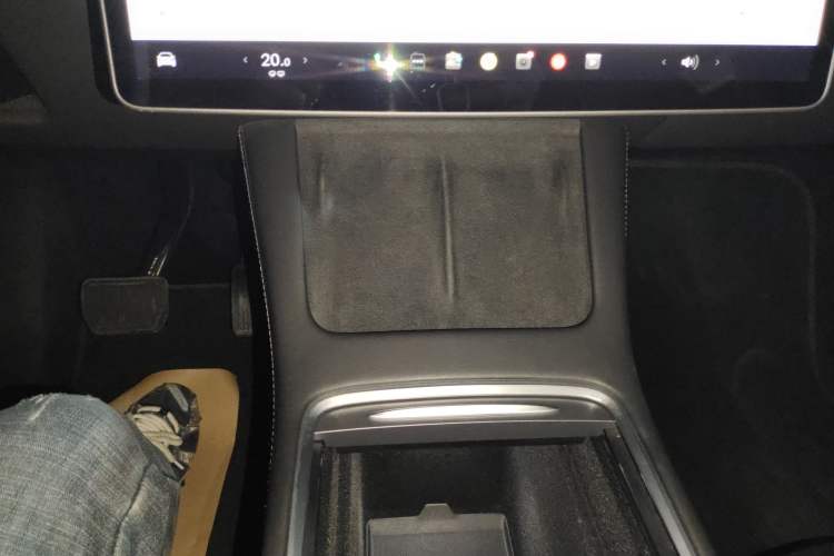 Used Tesla Model Y 2021 Standard Range Rear-Wheel Drive Version
