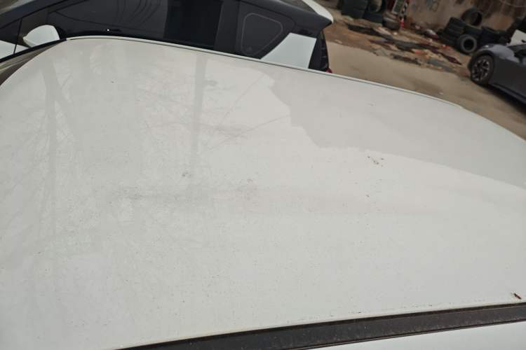 Used Qiyuan Lumin 2024 130km Qingyue Version