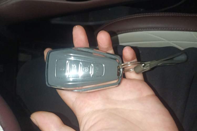 Used Geely Auto Monjaro L 2021 2.0TD DCT EVO Two-Wheel Drive Prestige Version
