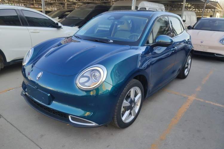 Used ORA Good Cat 2022 400km Standard Range Premium Version Lithium-Ion Battery