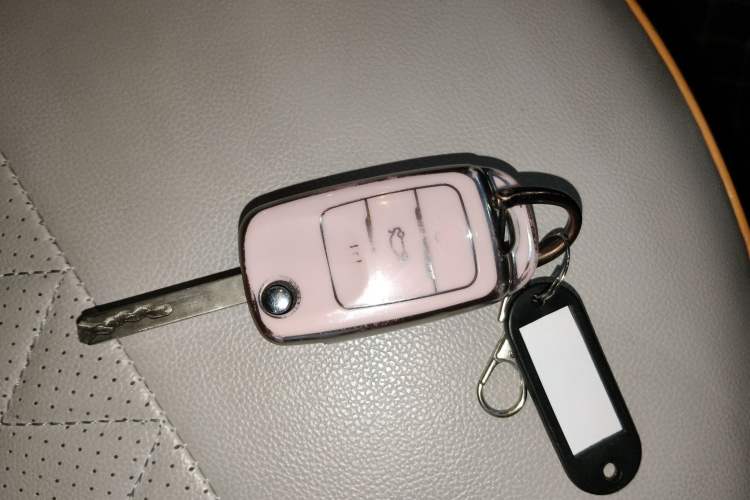 Used CHANGAN NEVO Lumin 2023 301km Honey Dew Edition