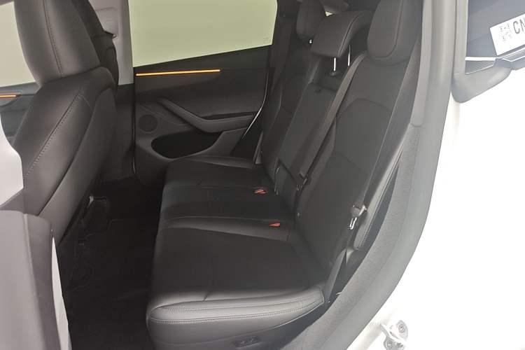 Used Tesla Model Y 2025 Long-Range All-Wheel Drive First Edition Left Rear Seat