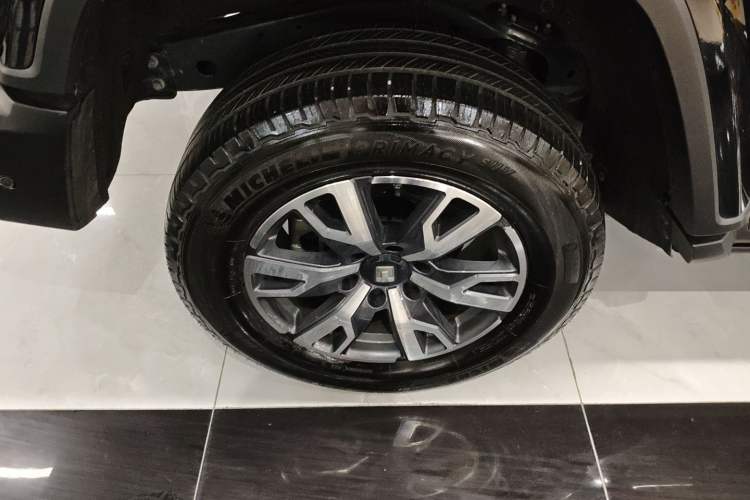 Used Tank 300 2024 2.0T Crosser
