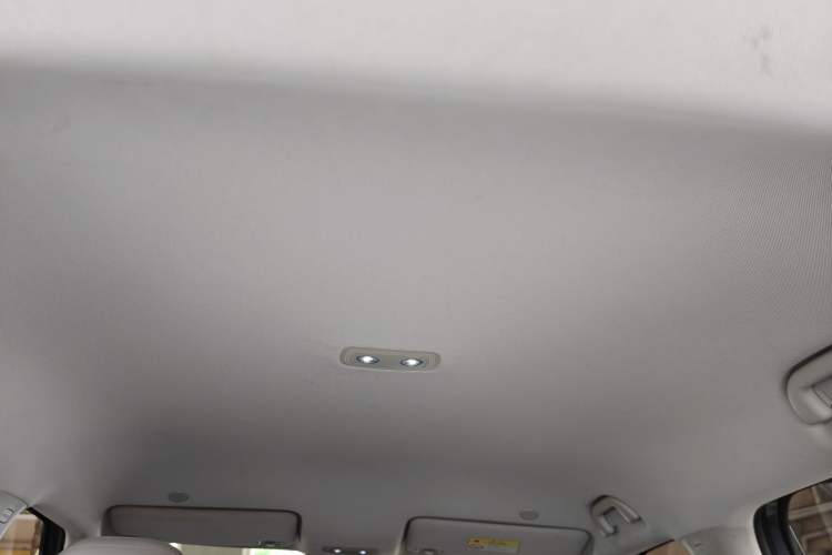 Used BYD Yuan UP 2024 401KM Leading Edition Headliner