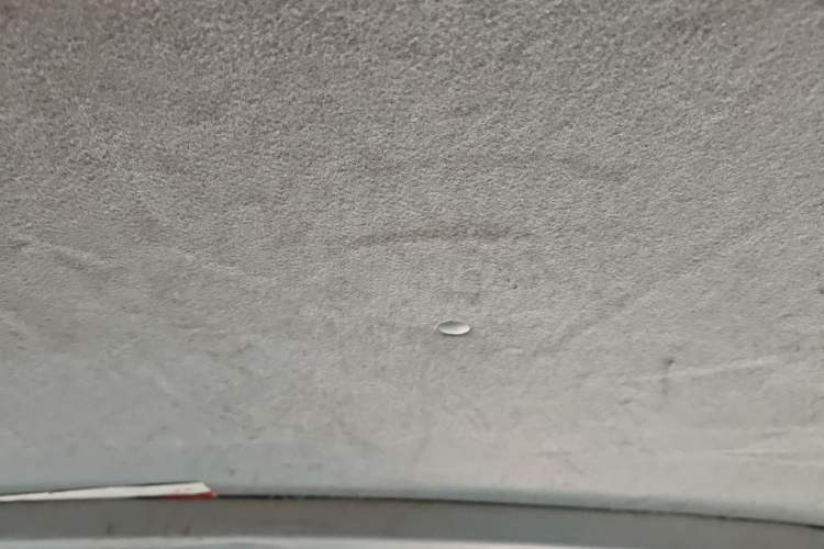 Used Jinbei Express 2020 2.0L Upgraded Version China VI Standard 6-Seater 1TZS