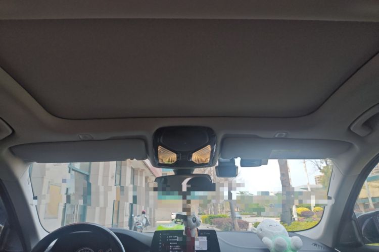 Used BMW 5 Series 2018 Facelifted 530Li Luxury Edition Premium Package Headliner