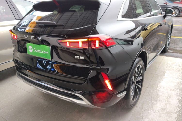 Used Wey Mocha 2021 2.0T Two-Wheel-Drive Ultra-Strong Version
