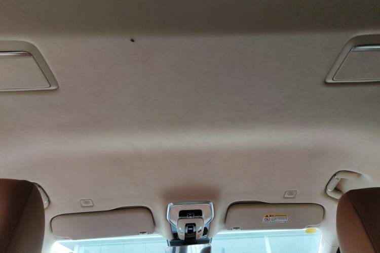 Used Hongqi HQ9 2023 2.0T Smart Connect Flagship Edition