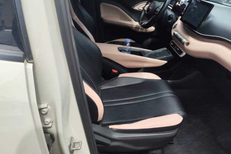 Used BYD Seagull 2023 Free Edition Right Front Seat