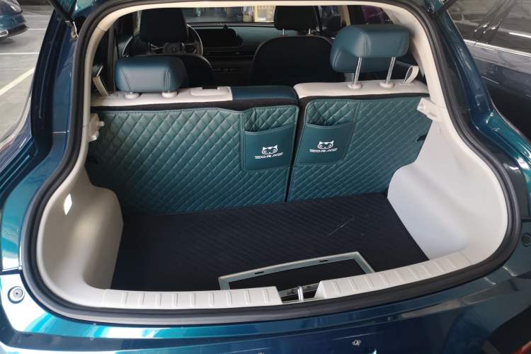 Used ORA Good Cat 2023 401 km Standard Range Luxury Version Lithium Iron Phosphate
