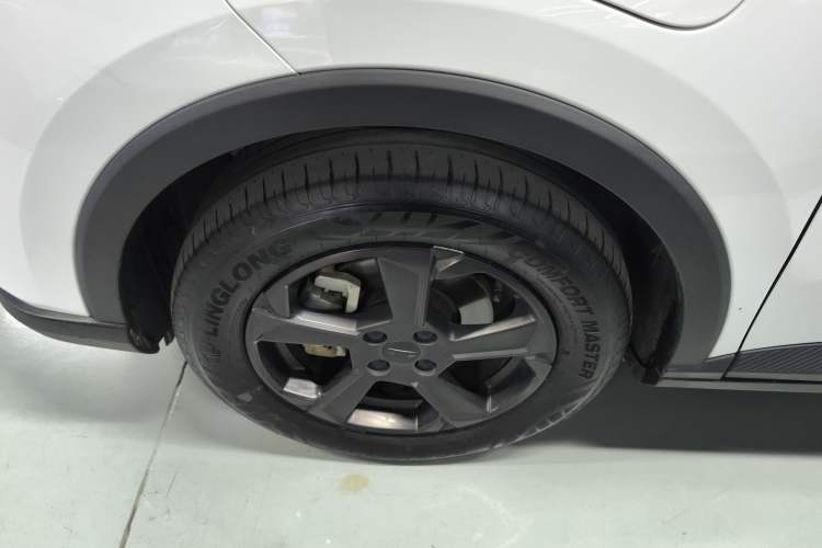 Used Geometry E Firefly 2023 401KM Linglong Tiger 5-Seater Left Front Wheel Hub