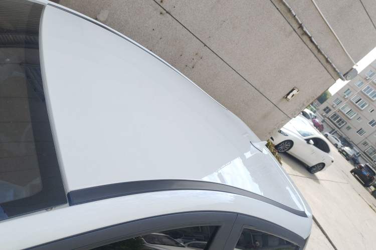 Used SOL E10X 2022 Flower Fairy Design Four-Leaf Clover