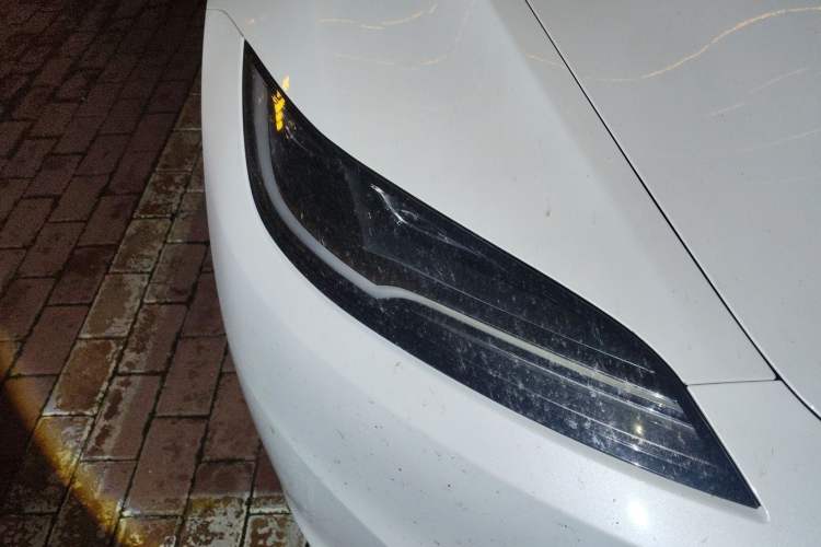 Used Tesla Model 3 2023 Rear-Wheel-Drive Version Exterior 6